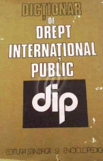 Dictionar de drept international public foto