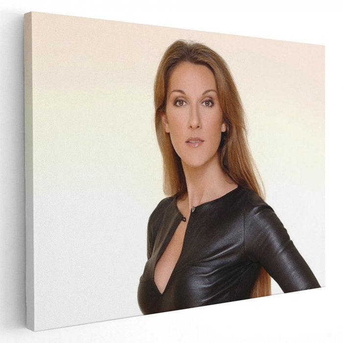 Poster Tablou Celine Dion cantareata 2261 Tablou canvas pe panza CU RAMA 80x120 cm