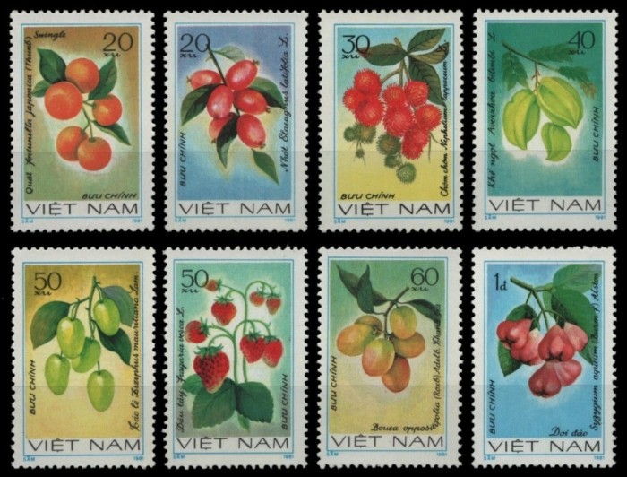 Vietnam 1981 - Fructe, serie nestampilata