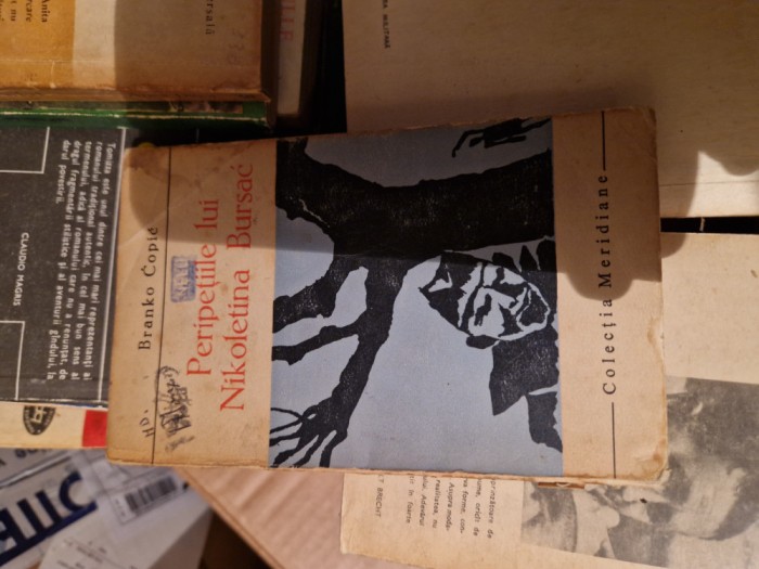 Peripețiile lui Nikoletina Bursac vintage