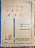 INTERBELICA,,CARTEA ROMANEASCA&quot;SECTIA MATERIAL DIDACTIC,ANATOMIA COPILULUI...