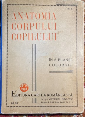 INTERBELICA,,CARTEA ROMANEASCA&amp;quot;SECTIA MATERIAL DIDACTIC,ANATOMIA COPILULUI... foto