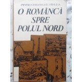 O ROMANCA SPRE POLUL NORD-PETRE GHEORGHE BIRLEA-224848