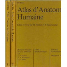 Sobotta - Atlas d'Anatomie Humaine vol. I,II - 124414