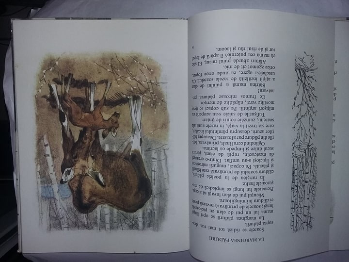 Carte veche Povesti.Anul padurii-Sokolov-Mikitov/ilustratii  Nikolski.T.GRATUIT | Okazii.ro
