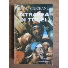 Intrarea In Tunel - Radu Ciuceanu