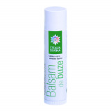 Cumpara ieftin Balsam de buze, 4,5g, Steaua Divina