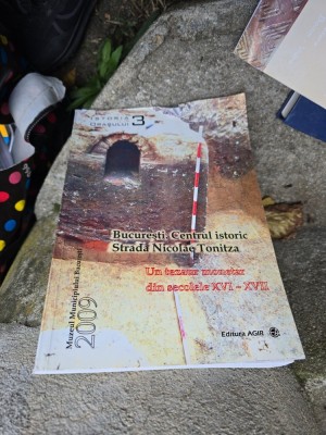 București. Centrul istoric Strada Nicolae Tonitza - Muzeul Municipiului București foto