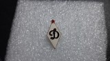 insigna Dinamo Kiev