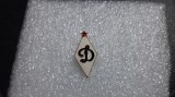 Insigna Dinamo Kiev