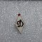 insigna Dinamo Kiev