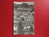 CARTE POSTALA - RPR - TIMISOARA - VEDERE DIN PARC ( INDOITA )