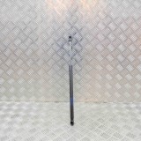 Amortizor capota st&acirc;nga față TESLA MODEL S 2017 OEM: 1062634-00-A 13584892