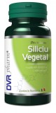 SILICIU VEGETAL 60CPS