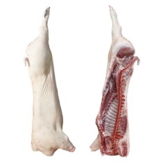 Carne porc de tara foto