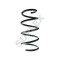 Arc suspensie Dacia Sandero, 06.08-, 1.2 16V, 1.4 (BS0C, BS0A, BS0G, BS1F, BS0E), 1.6 (BS0D, BS0B, BS0F, BS0H), 1.6 MPI 85 (BS03), Punte Fata, SUPLEX