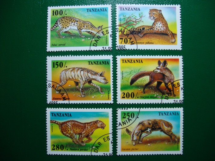 TANZANIA FAUNA