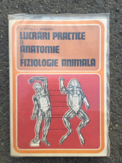 Lucrari practice de anatomie ?i fiziologie animala/M.Stoica&amp;amp;I.Mihailescu/1981 foto