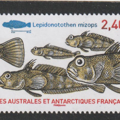 Taaf 2014-Fauna,Pesti,Cod antarctic ,dantelat,MNH,Mi.856
