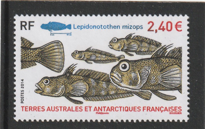 Taaf 2014-Fauna,Pesti,Cod antarctic ,dantelat,MNH,Mi.856
