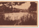 CPIB 18048 CARTE POSTALA - LACUL URSU