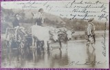 Carte postala, Romania, tarani imbracati in costume traditionale, cu carul cu boi, 1924