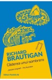 Caderea unui sombrero - Richard Brautigan - Paralela 45