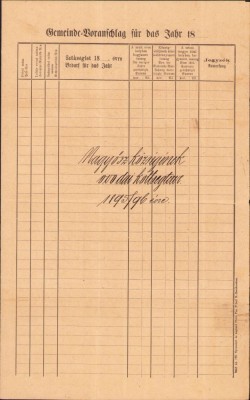 A1202 Buget de cheltuieli grădinița de copii Tomnatic, județul Timiș, 1895 foto