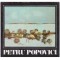 - Petru Popovici - bucuria peisajului - 127175