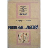 PROBLEME DE ALGEBRA-CEZAR COSNITA, FANICA TURTOIU-262656