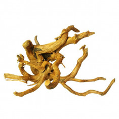 Cuckoo Root radacina pentru acvariu - 55 x 53 x 40 cm foto