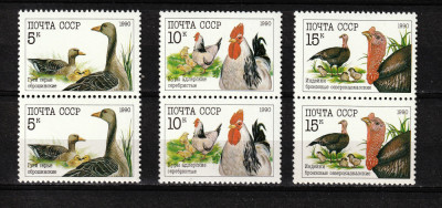 Rusia, URSS, 1990 | Păsări de curte - Animale | Serie &amp;icirc;n perechi - MNH | aph foto