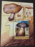 Colița Guineea - Ciuperci, Micologie, Phlebopus Silvaticus, Agaricus, Ștampilată Conakry, Flora -A333