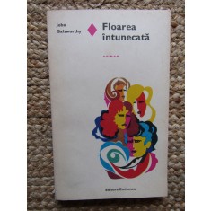 Floarea intunecata - John Galsworthy