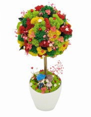 Aranjament floral personalizabil, mediu 38 cm, tip copacel pomisor cu licheni naturali stabilizati si flori criogenate si uscate in vas ceramic (Multi