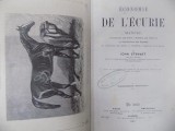 Economie de l&#039;&eacute;curie, Intretinerea grajdiului, John Stewart, Paris 1861