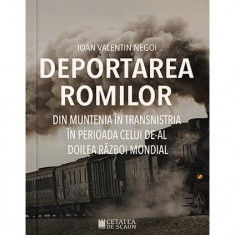 Deportarea romilor din Muntenia în Transnistria în timpul celui de-Al Doilea Război Mondial - Paperback brosat - Ioan Valentin Negoi - Cetatea de Scau
