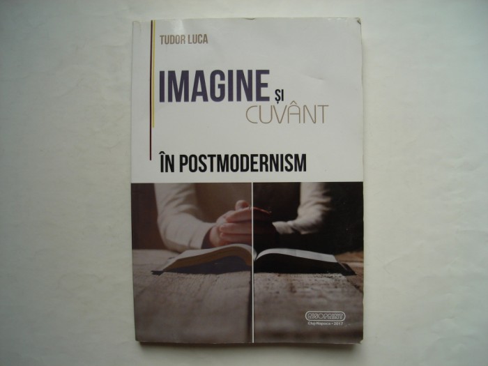 Imagine si cuvant in postmodernism - Tudor Luca
