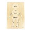 Puzzle Corpul uman - Baiat 12 piese), Viga