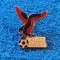 Insigna fotbal - OGC NICE (Franta)
