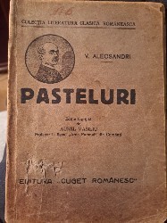 Pasteluri- Alecsandri, Cuget Romanesc