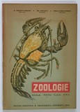 ZOOLOGIE , MANUAL PENTRU CLASA A IX - A de CONSTANTIN BOGOESCU ... CORALIA NITESCU - VERNESCU , 1964