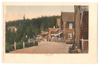SV * Paltinis CASA DE CURA / SANATORIUL * VILELE * 1903 foto