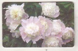 bnk card Cartela telefonica 2006 - Flori 1 - RO-ROM-0360B