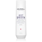 Goldwell Dualsenses Just Smooth sampon pentru indreptarea parului pentru par indisciplinat 250 ml