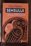 James Hollis - Cautarea sensului