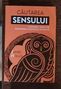 James Hollis - Cautarea sensului
