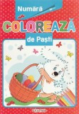 Numara si coloreaza de Pasti - Erc Press