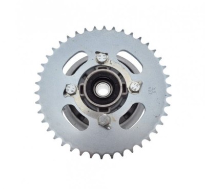 Ansamblu pinion transmisie spate, 42 dinti, pas 428, Shineray Xy125-10D Cod Produs: MX_NEW ZQG70011 foto