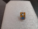 insigna Pionier